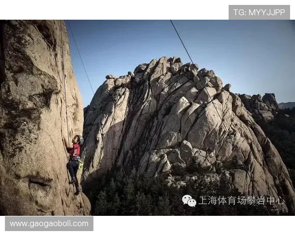 上海攀岩队在极限运动会中的团队协作表现分析与点评