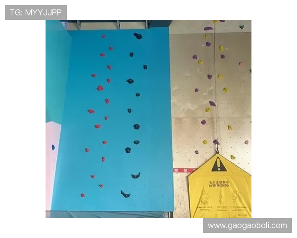 攀岩精神的力量：深入剖析西安攀岩队员的心理素质与挑战应对