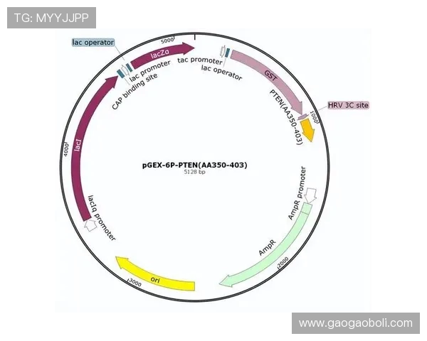 武汉极限运动队整体压制现象分析及其对运动发展的影响探讨