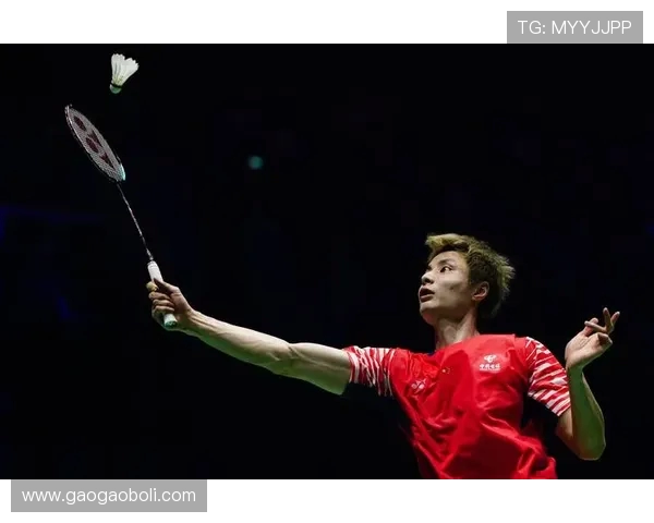 重庆羽毛球队在欧锦赛中的耐力表现分析与启示