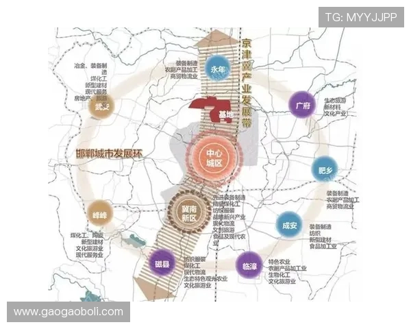 探寻世界顶级足球俱乐部崛起历程与未来发展趋势的全面全景观察研